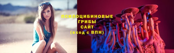 мдпв Медногорск